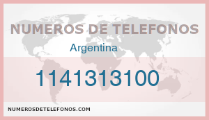 Telefono 1141313100