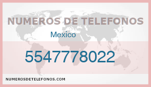 Telefono 5547778022