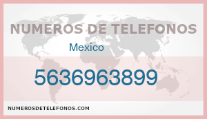 Telefono 5636963899